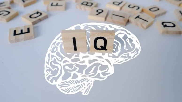 Dünyanın En Kısa “IQ Testi” Harvard Öğrencileri Çözemiyor