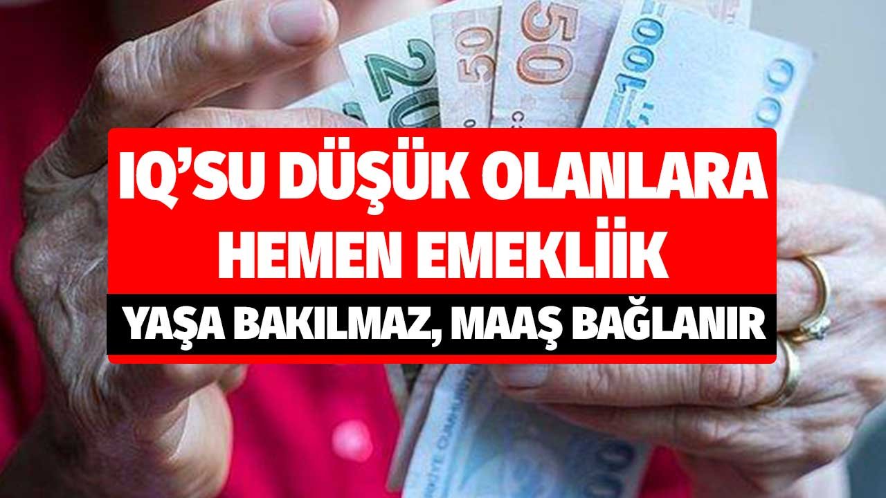 Zeka Geriliği (Düşük IQ) Durumunda Erken Emeklilik
