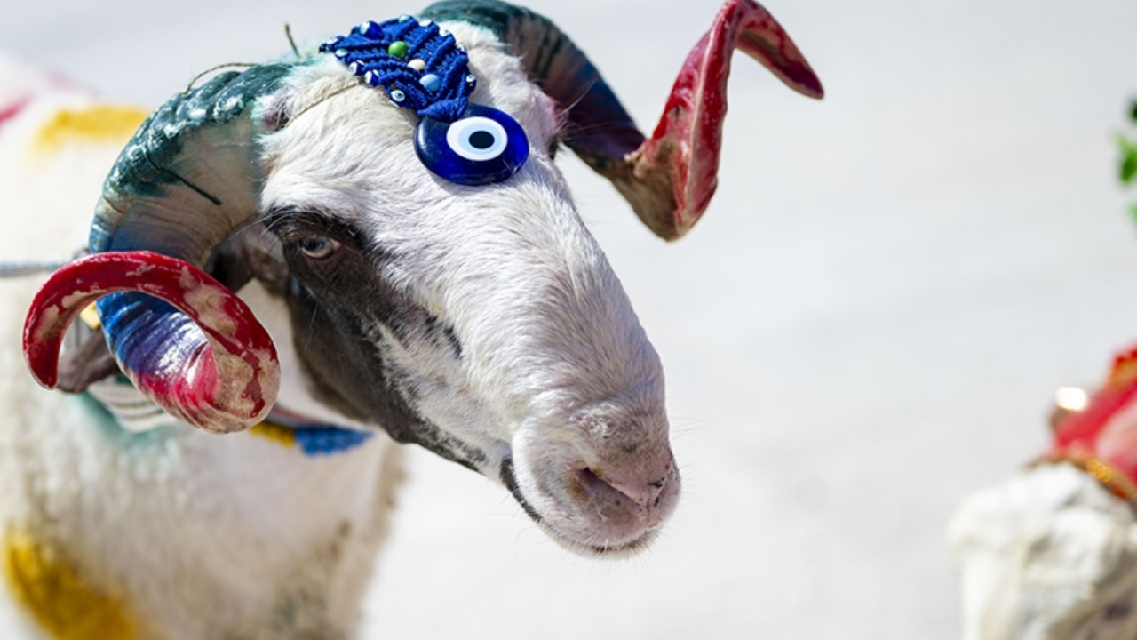 Kurban Bayram Tatili 12 Gün mü Oluyor? Turizmcilerden Hükümete “Uzatma” Teklifi